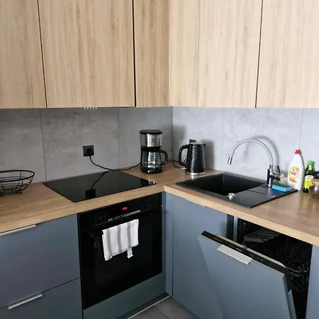 Mieszkanie W Nowoczesnym Halo W Centrum *