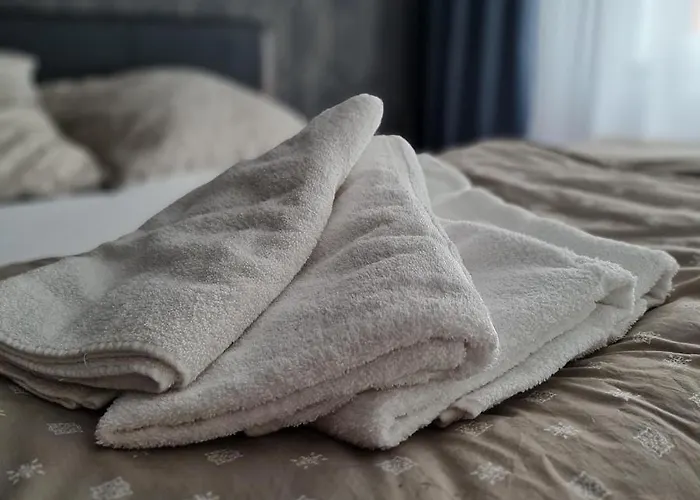 Mieszkanie W Nowoczesnym Halo W Centrum