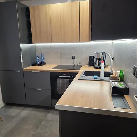 Mieszkanie W Nowoczesnym Halo W Centrum *