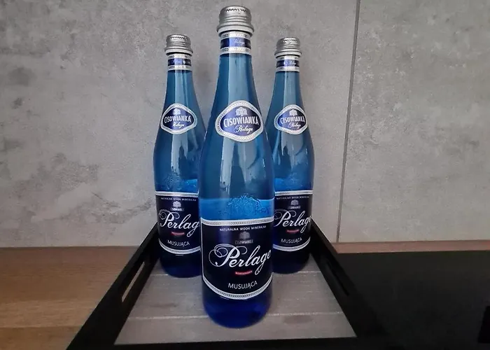 Mieszkanie W Nowoczesnym Halo W Centrum Appartement *