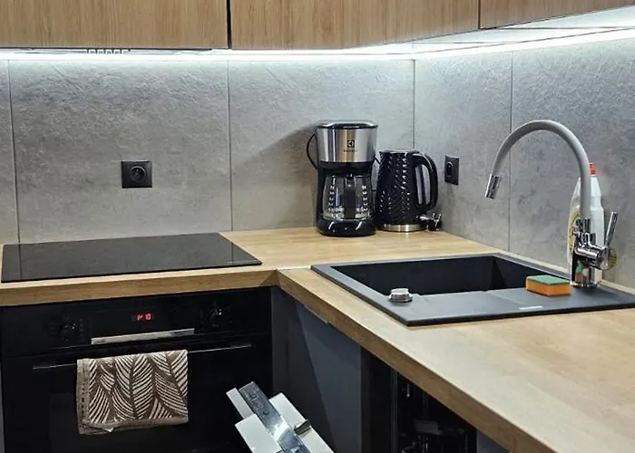 Mieszkanie W Nowoczesnym Halo W Centrum